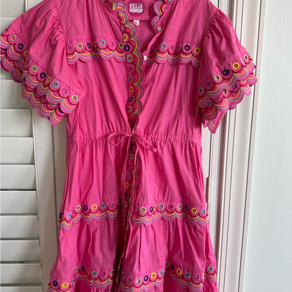 CeliaB Pink Women's Dress XL
